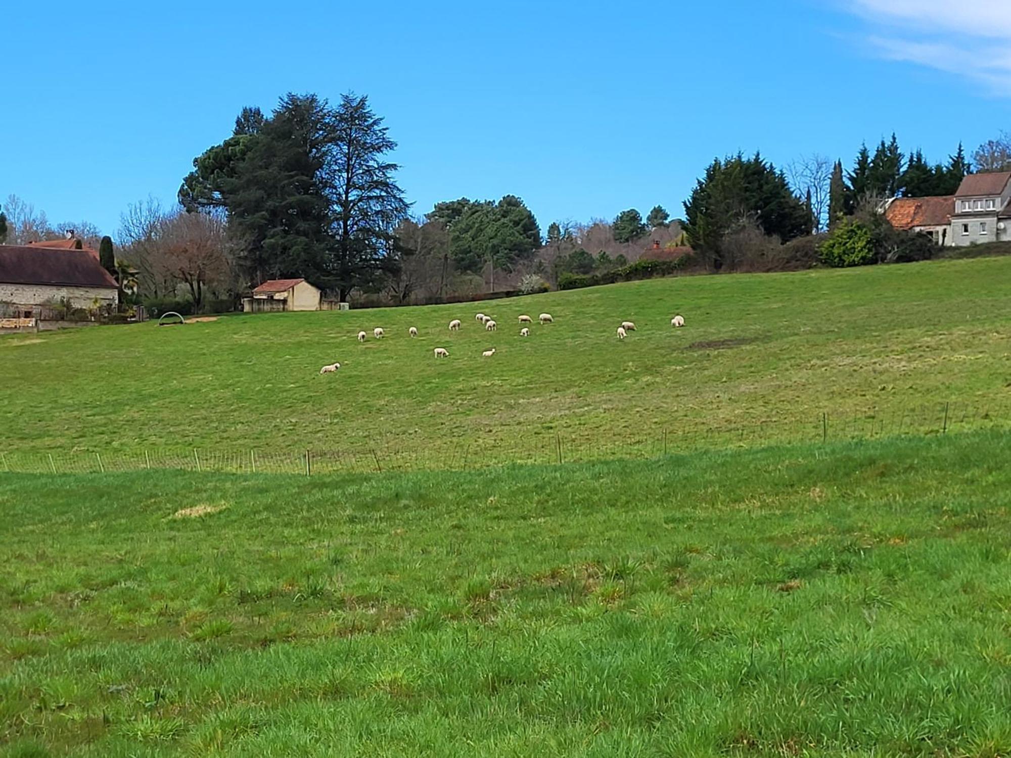 La Grange Du Chateau Boissieres  Esterno foto